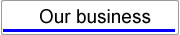 Our business